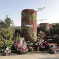 2010台北國際花卉博覽會 - 3
