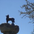 Tekapo湖邊的牧羊犬雕像