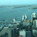 2008紐西蘭 - 由天空之塔觀景台下眺奥克蘭港