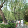 菖蒲河公園