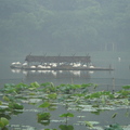 2009西湖/蘇堤 - 4