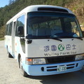 2011武陵櫻 - 2