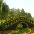 Beijing Olympic Games colored scenery - 7