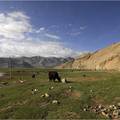 新疆：世界屋脊帕米爾高原 - 5
