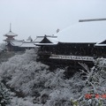 雪中的清水寺　．．．