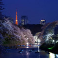 東京夜景-8
