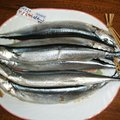 9月12日大菜場買的秋刀魚,
這魚是風乾過的, 跟新鮮的秋刀魚吃起來又不一樣
魚肉較有韌滑, 稍帶自然的鹹味.