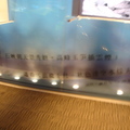 2010八月宜蘭之旅 - 2