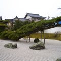 日式庭園荒山水