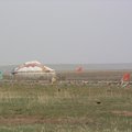 蒙古大草原5