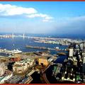 伊豆半島河津櫻/橫濱-皇家柏格飯店58F俯瞰全景(013)