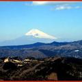 伊豆半島河津櫻/伊東-大室山頂眺望富士山(032)