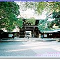 伊豆半島河津櫻/東京-明治神宮(152)