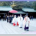 伊豆半島河津櫻/東京-明治神宮之古式婚禮(155)