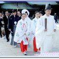 伊豆半島河津櫻/東京-明治神宮之古式婚禮(156)
