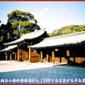 伊豆半島河津櫻/東京-明治神宮(157)