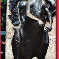 布里斯本-市政廳前廣場之袋鼠雕像(015)