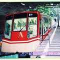 黑部立山-立山車站之高山索道電車(254)