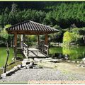 明池森林遊樂區-朝陽明池、水上亭(208)