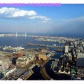 伊豆半島河津櫻/橫濱-皇家柏格飯店俯瞰全景(167)