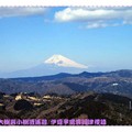 伊豆半島河津櫻/伊東-大室山遠眺富士山(176)