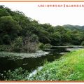 福山植物園-水中植物區之台灣萍蓬草(015)