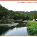 福山植物園-水中植物區之台灣萍蓬草(016)
