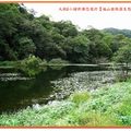 福山植物園-水中植物區之台灣萍蓬草(021)