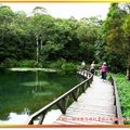 福山植物園-水中植物區(037)