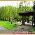 福山植物園-落羽松步道與木亭(038)