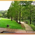 福山植物園-落羽松步道(039)