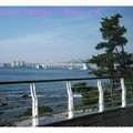 韓國釜山-海雲台與廣安大橋(013)