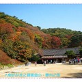 韓國慶州-吐含山石窟庵之楓紅(040)
