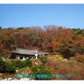 韓國慶州-吐含山石窟庵之楓紅(042)