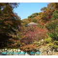 韓國慶州-吐含山石窟庵之楓紅(045)