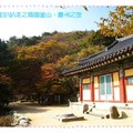 韓國慶州-吐含山石窟庵之楓紅(047)