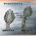 福山植物園-裸子植物雌花毬與鐵蘇構造圖(079)