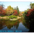 韓國慶州-佛國寺之雁鴨池楓紅倒影(056)