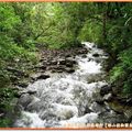 福山植物園-溪流一景(122)