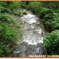 福山植物園-溪流一景(123)