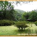 福山植物園-杜鵑花區(125)