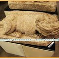 河東堂獅子博物館-像鱷魚的獅子(098)