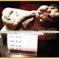 河東堂獅子博物館-拴娃獅(099)