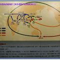 河東堂獅子博物館-世界獅文化流傳圖(011)