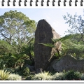 蓬萊仙島石
