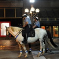 警察騎馬