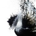 日本藝術家Shinichi Maruyama丸山真出的作品以墨汁和水的碰撞產生的瞬間圖像為訴求。借助現代攝影科技的高速成像相機和最先進的閃光燈技巧，在1/7500秒的快門速度下捕捉到這些偶然天成的圖像。