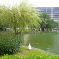 2011.08.10   台中公園 - 2