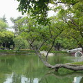 2011.08.10   台中公園 - 5