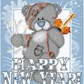 bear new year